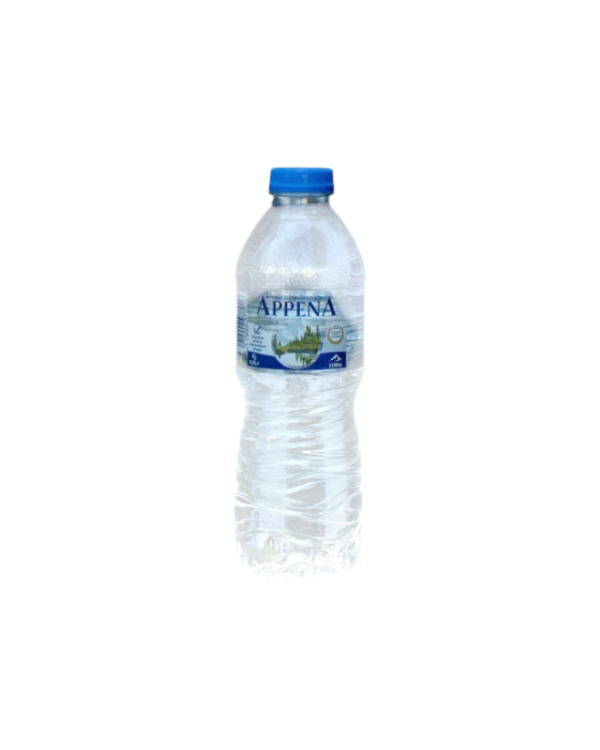 Arrena water(0,5L×12pack)